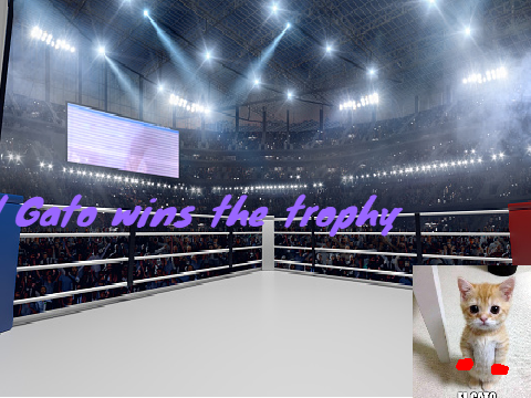 Boxing Match: Godfrey Pays VS. El Gato 