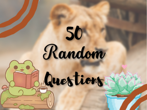 50 Random Questions remix