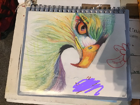 Finished 