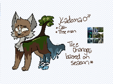 Kadoma ♡