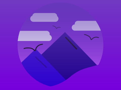 night project