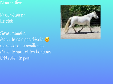 Fiche d’identité d’Olive