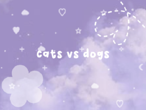 ╰┈➤ ᶜᵃᵗˢ ᵛˢ ᵈᵒᵍˢ ✧.*