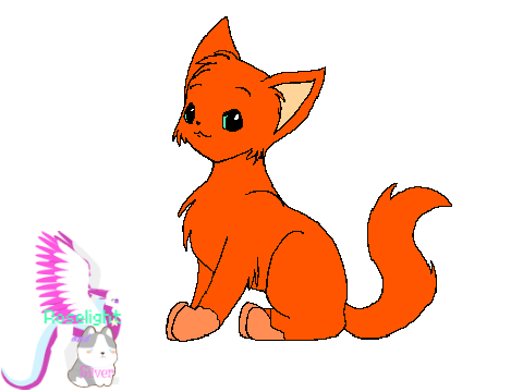 Cat art!