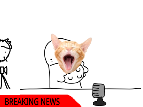 I put my cat on the mic 
