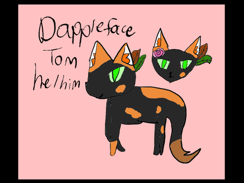 Dappleface official ref aa