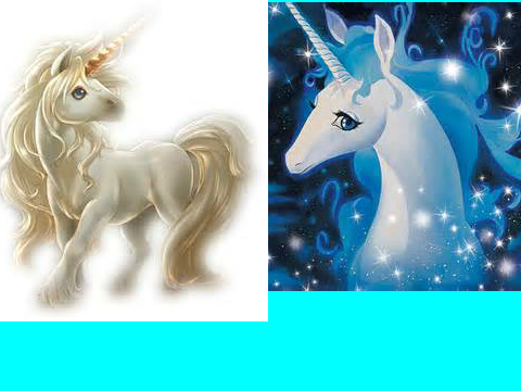 i love unicorns 