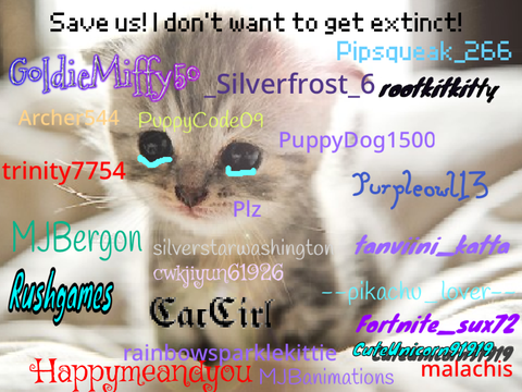 Sign if you hate animal cruelty plz remix 5 remix