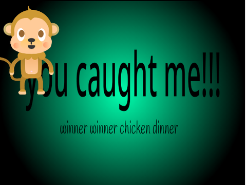 catch the monkey