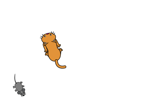 Mouse cat! Con nombres