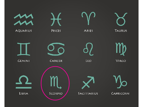 circle your zodiac remix