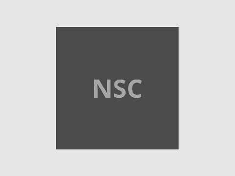 NSC OS 0.1 BETA