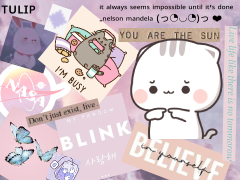 Example Banner: For @ForeignTulip