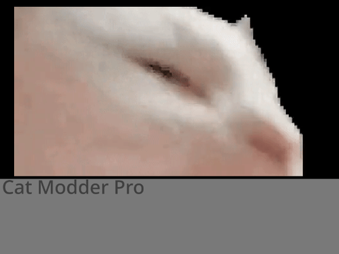 Vibe cat modder