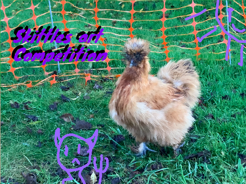Skittles art contest remix