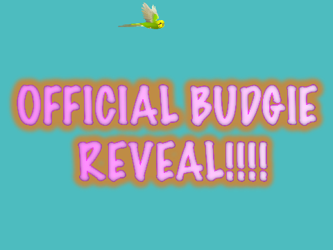 30+ FOLLOWERS PET REVEAL!!!!!!! 