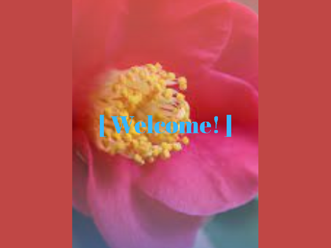 [ 1. Welcome! ]
