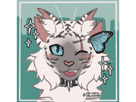 Second-To-Last Cameo [In this account]