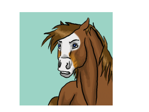 horse  animetion 3 
