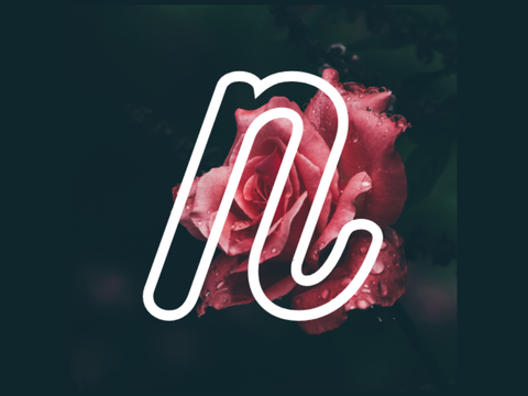 Logo's For Ninjin