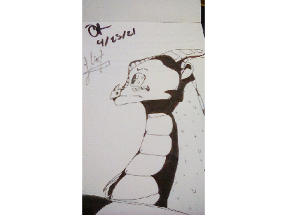 my drawings this summer (so far)