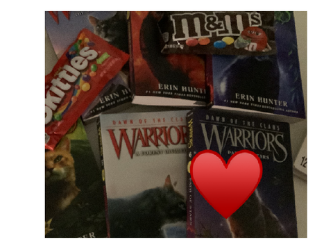 WARRIOR CATS, THE BOMB