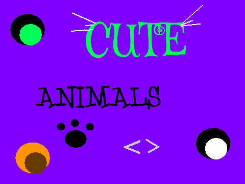 Cute Animals