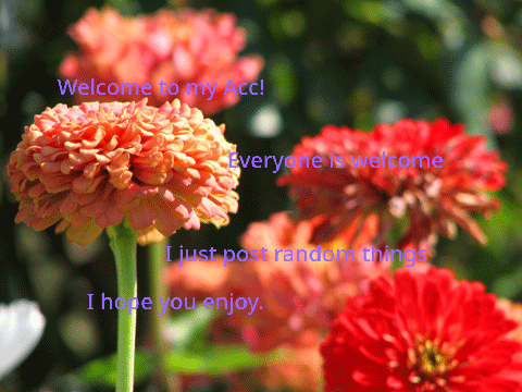 Welcome 