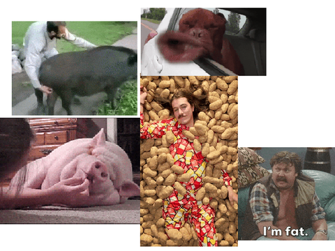 Funny GIF
