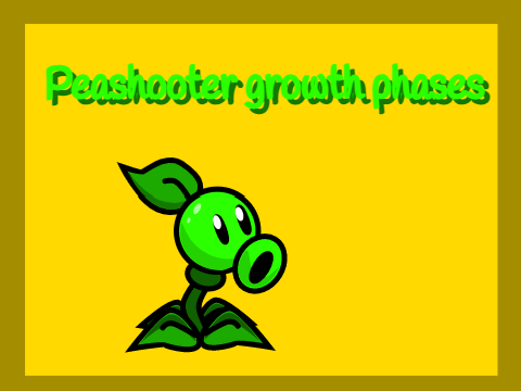Peashooter growth phases (my own ideas)
