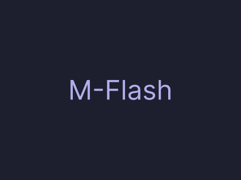 M Flash · v1