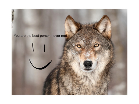 You are the best