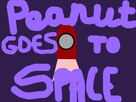 Peanut Goes to Space