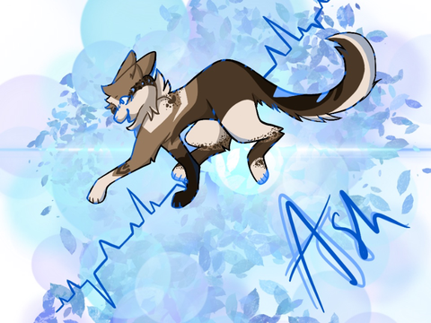 Gift for Asher