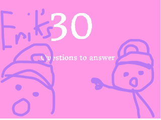 Erik's 30 Questions To Answer