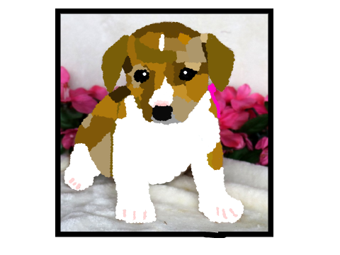 Puppy Blockshade