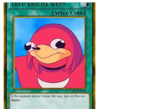 some sonic and ygo memes and stuff cencored:(