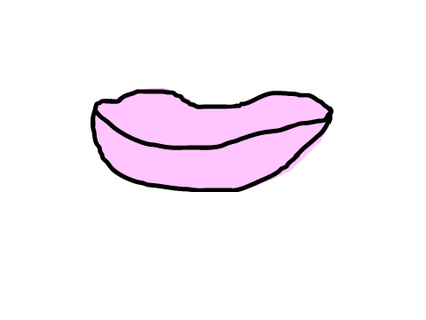 LIPS