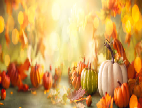 HAPPY THANKSGIVING!