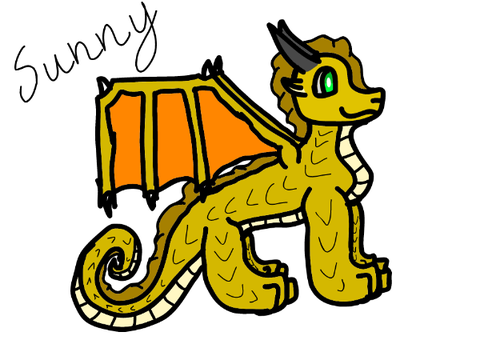 Sunny!