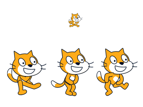 cat dance animations