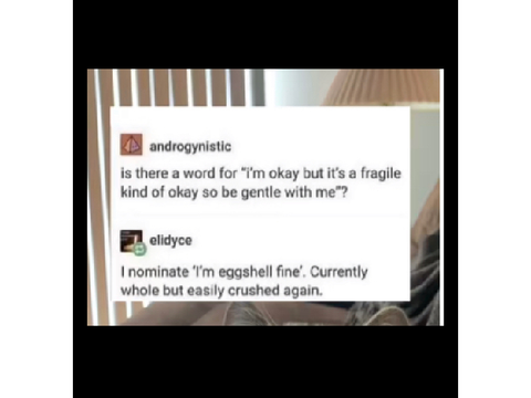 My life in an eggshell 