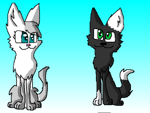  For Bread_Cat