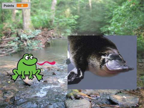 Animal Quiz - Part 2