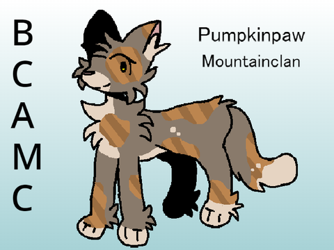Pumpkinpaw ref