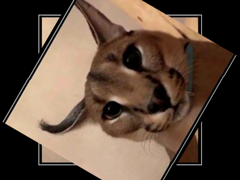 Floppakopter