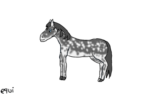 Art for @Horse_Queen_12