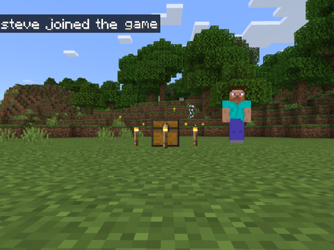Cursed Minecraft