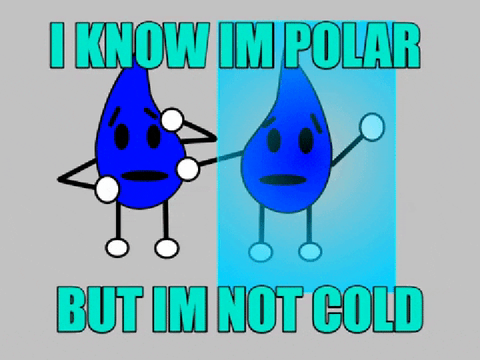 MEME