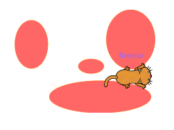 Play with Firestar